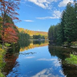 Meet your Posher, Isabella